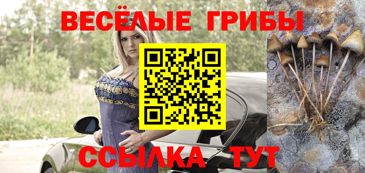 Галлюциногенные грибы мухоморы  Вход с VPN  Галлюциногенные грибы GOLDEN TEACHER  Заводоуковск 