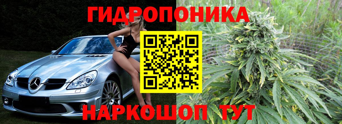 Заводоуковск  Каннабис семена  Бошки Шишки SATIVA & INDICA  Вход с VPN 